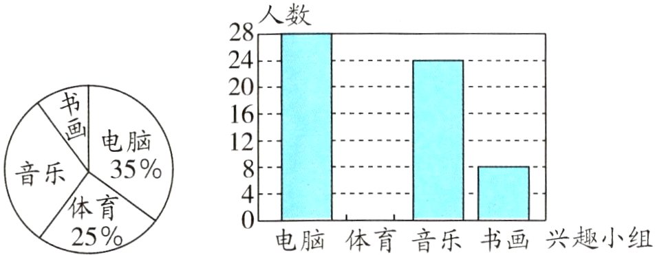 电脑体育音乐书画兴趣小组