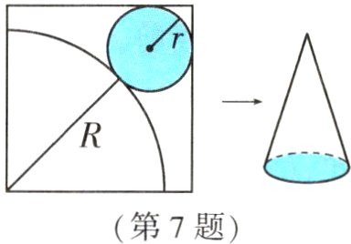 第7题