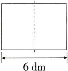6dm
