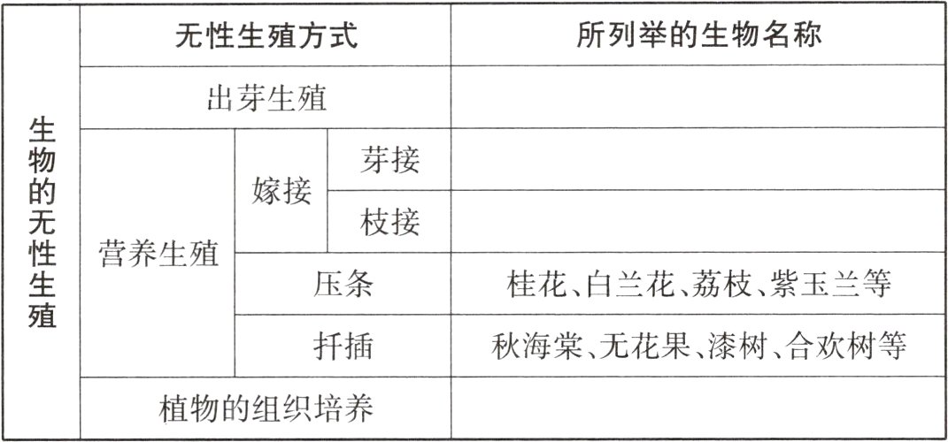 植物的组织培养