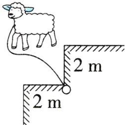 2m