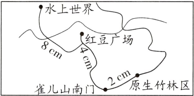 2c原生竹林区雀儿山南