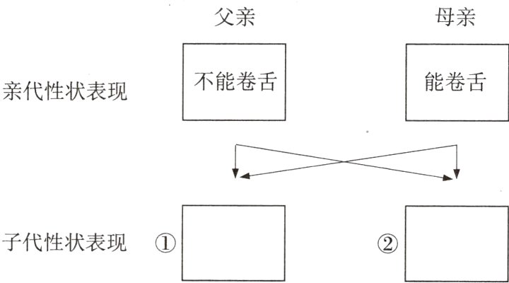 子代性状表现