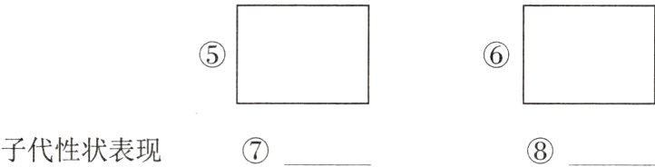 子代性状表现