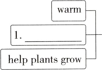 helpplantsgrow