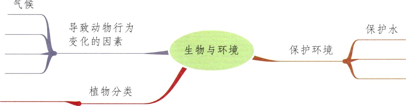 植物分类