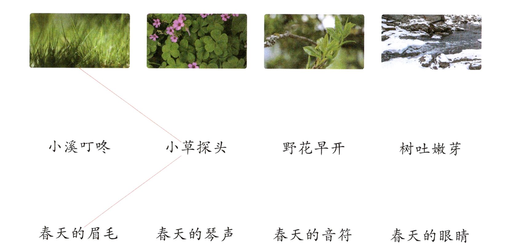 春天的眉毛春天的琴声春天的音符春天的眼睛