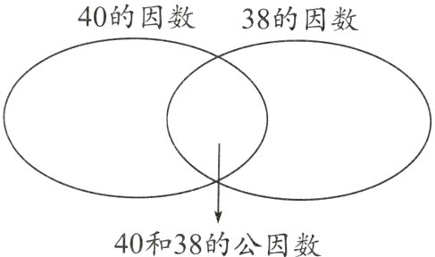 40和38的公因数