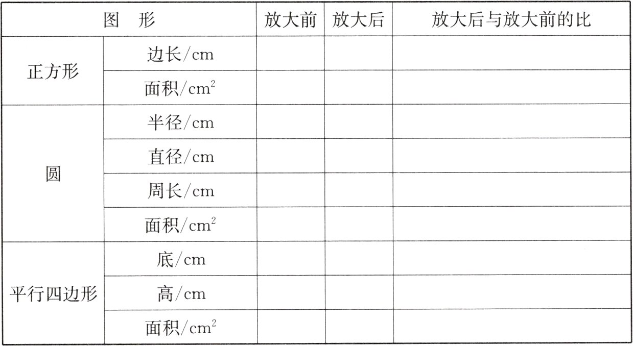 面积cm2