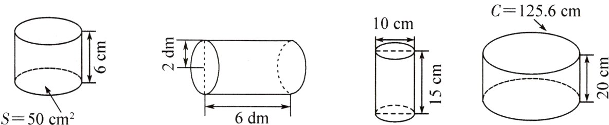206dmS50cm