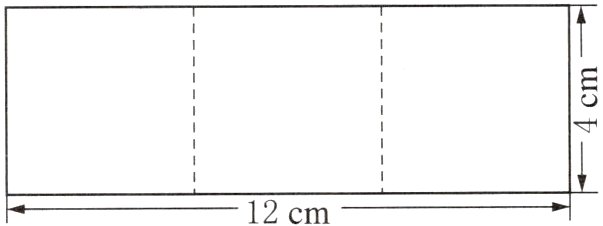 12cm