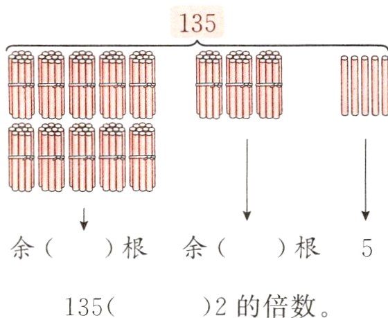 2的倍数135