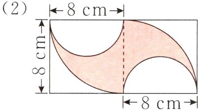 8cm