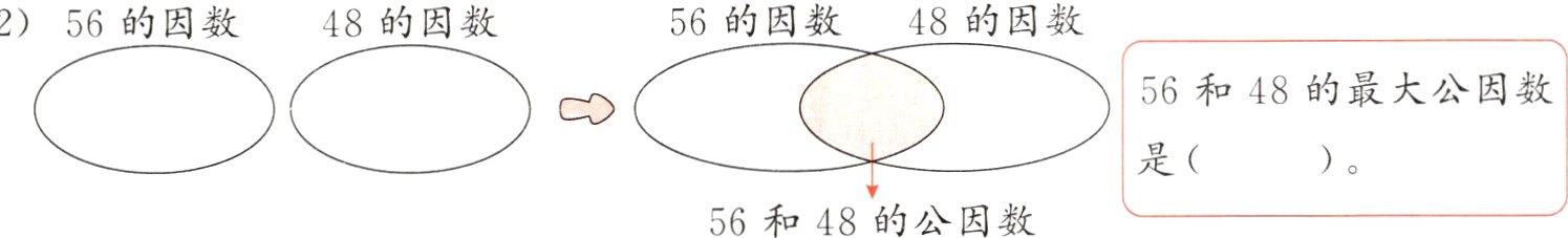 56和48的公因数