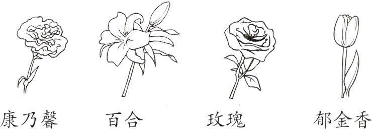 康乃馨玫瑰百合郁金香