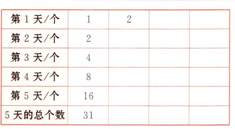 5天的总个数31