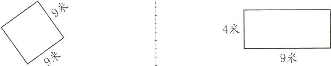 9米9米