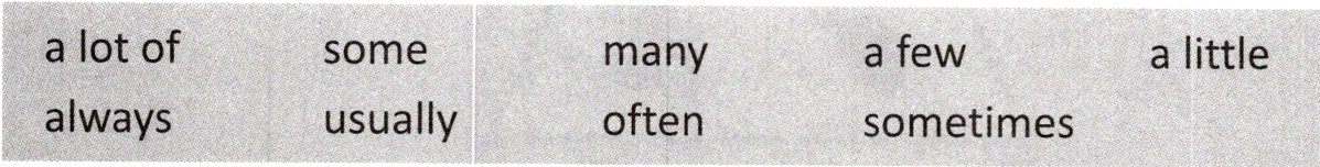 alwaysoftenusuallysometimes