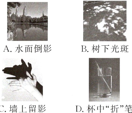 C墙上留影D杯中折笔