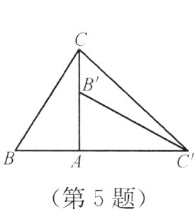 第5题