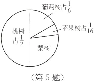 第5题