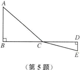 第5题