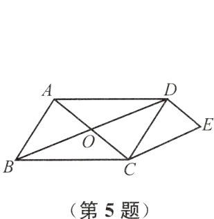 第5题