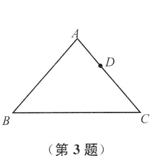 第3题