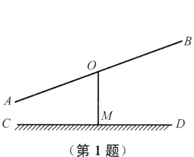 第1题