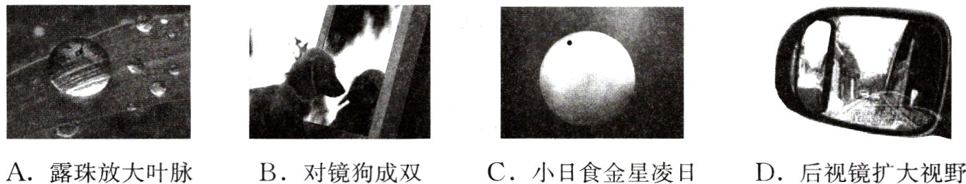 A露珠放大叶脉B对镜狗成双C小日食金星凌日D后视镜扩大视野