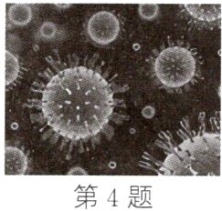 第4题