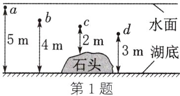 石头第1题