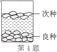 良种第4题