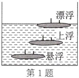 第1题