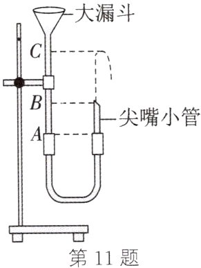 第11题