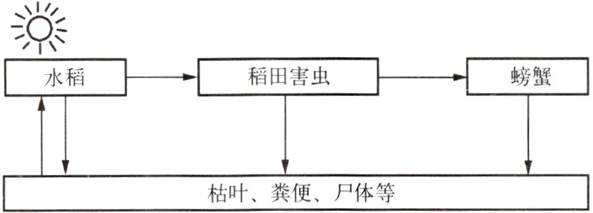 枯叶粪便尸体等