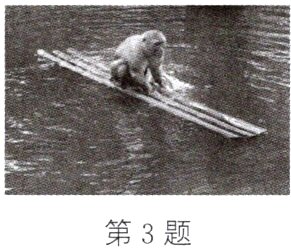 第3题