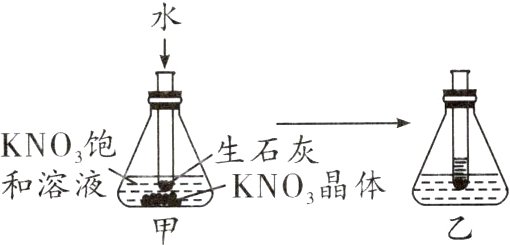 和溶液KNO晶体