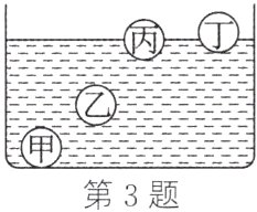 第3题