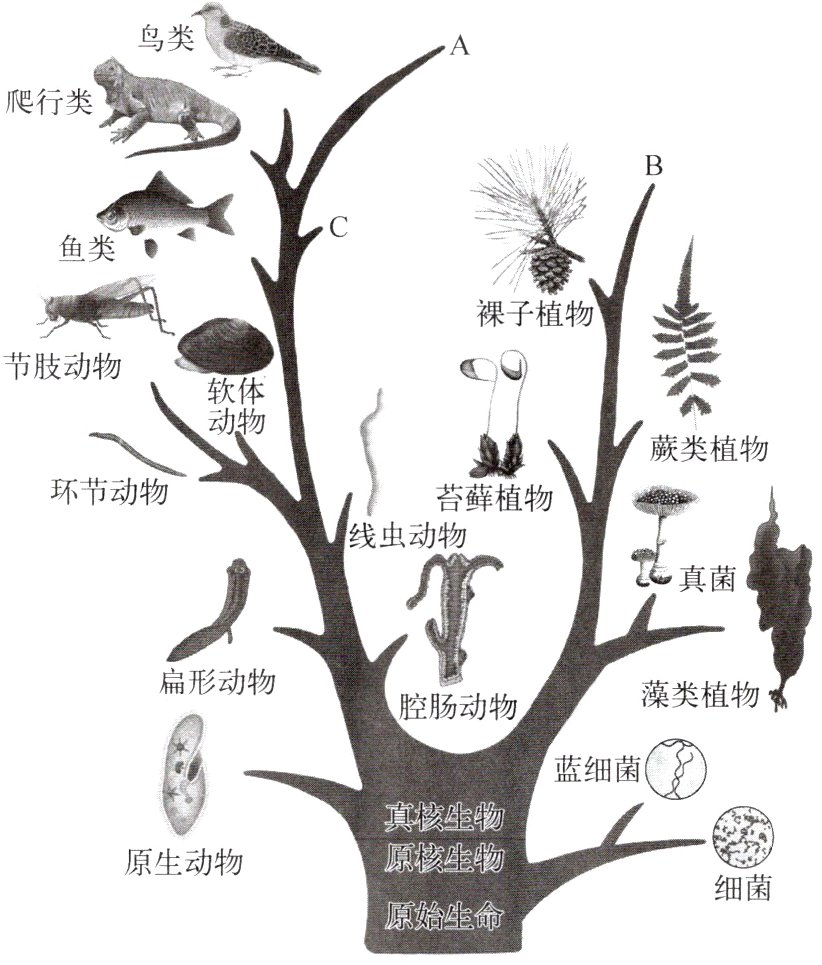 原始生命