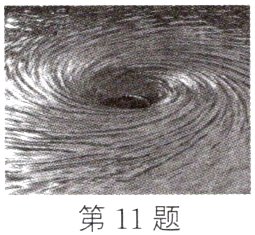 第11题