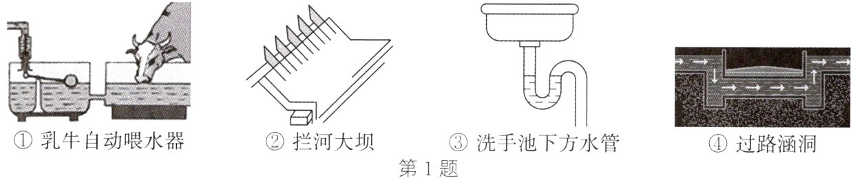 乳牛自动喂水器拦河大坝洗手池下方水管过路涵洞第1题