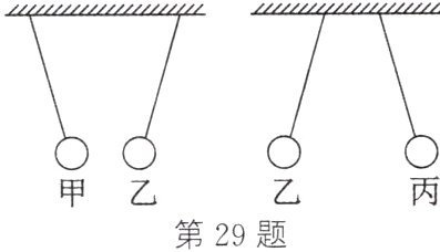 甲乙第29题