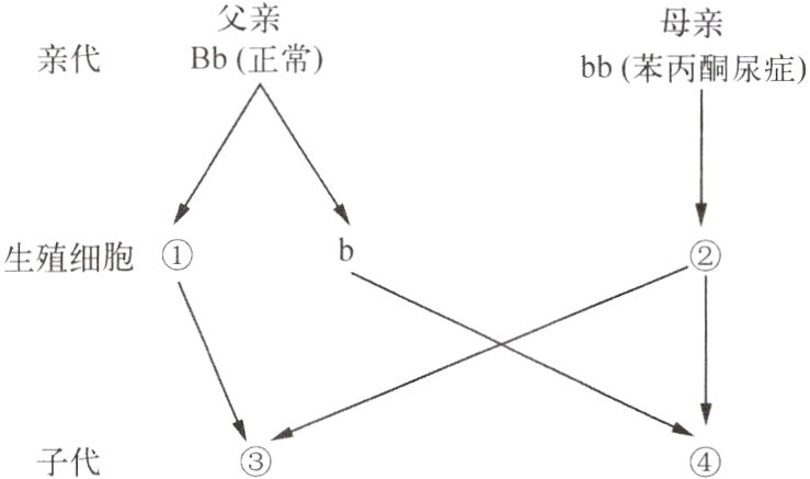 子代