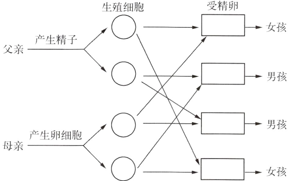 女孩
