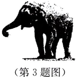 第3题图