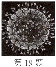 第19题