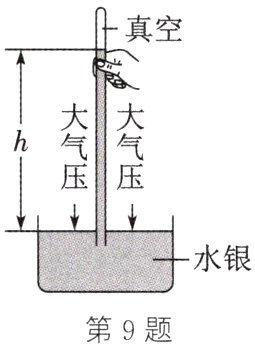 第9题