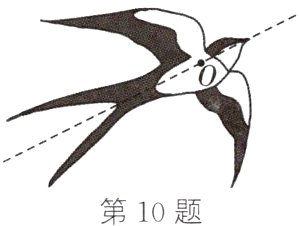 第10题