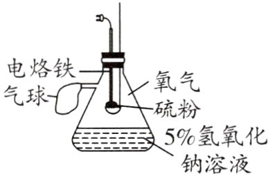 5%氢氧化钠溶液